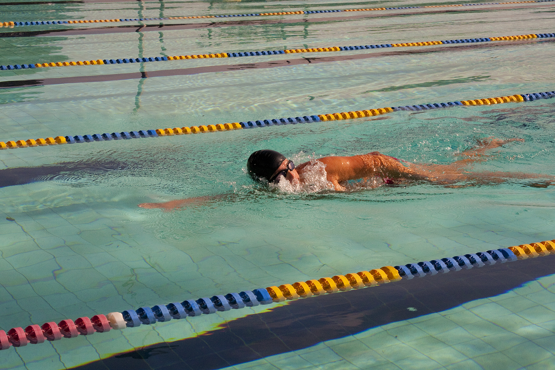 Natação – USP e externo