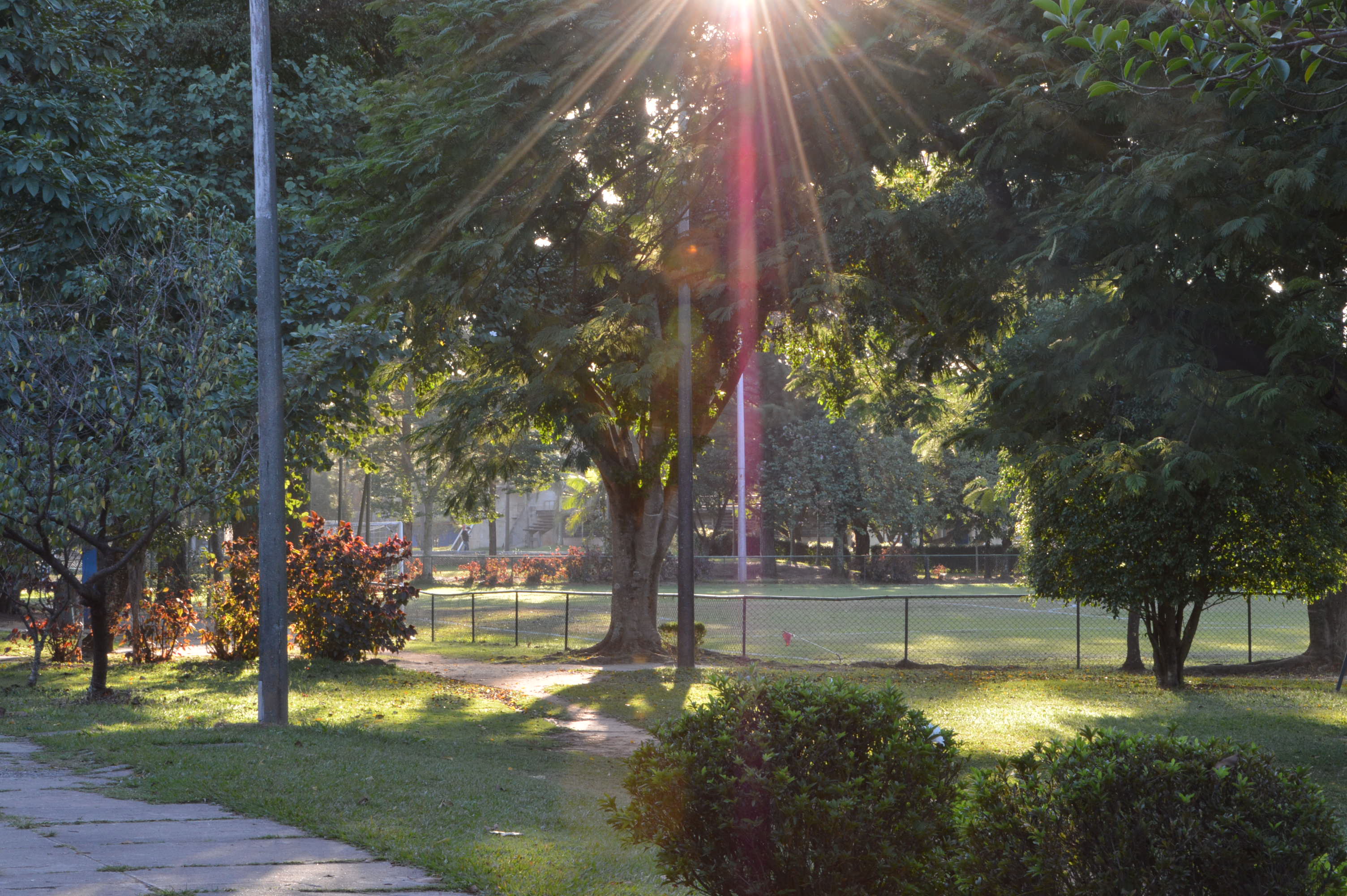 Usuário 60+  – Externo