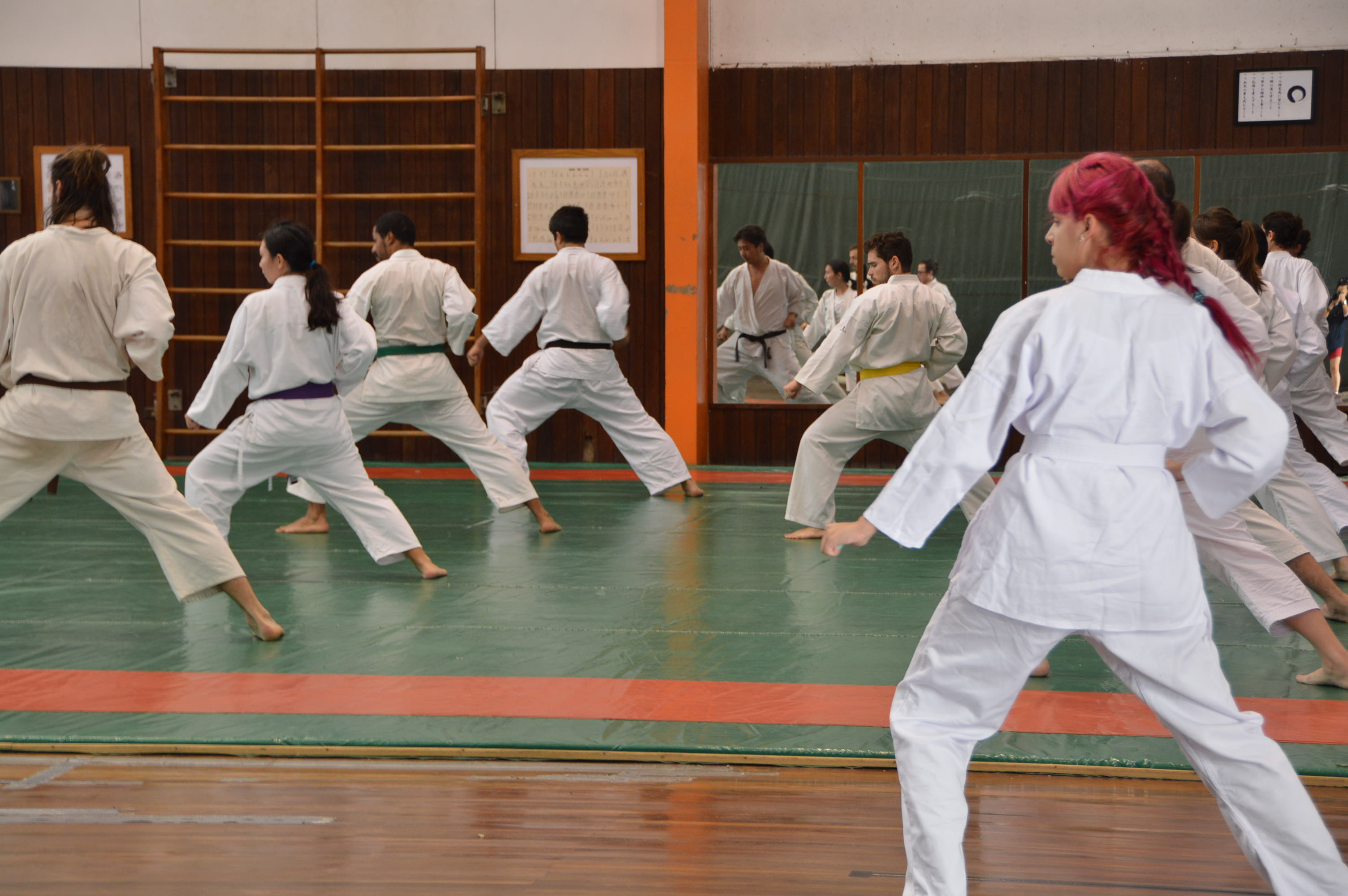 Karatê – USP e externo