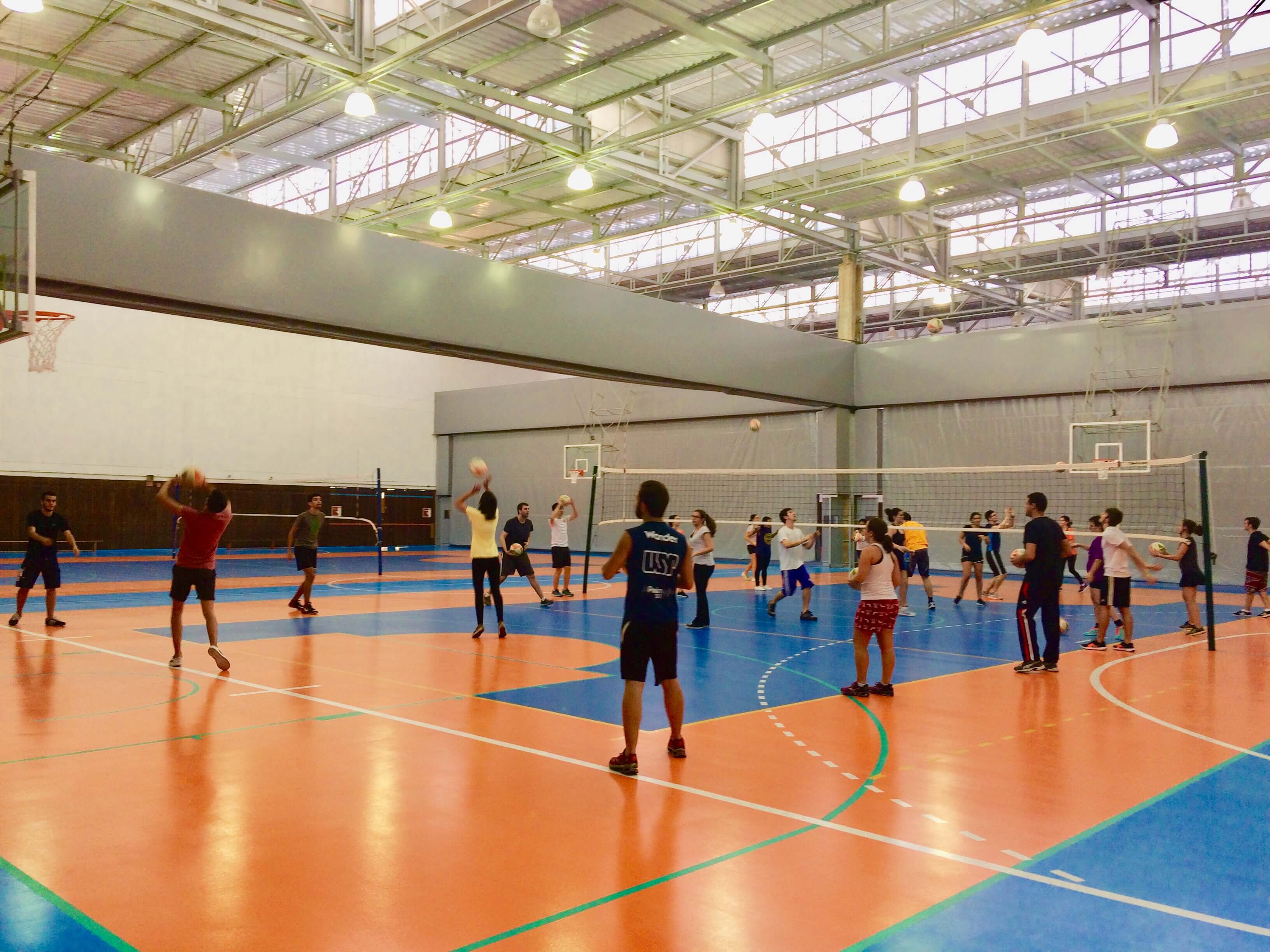 Evento on-line e gratuito vai ensinar como jogar voleibol – Jornal da USP