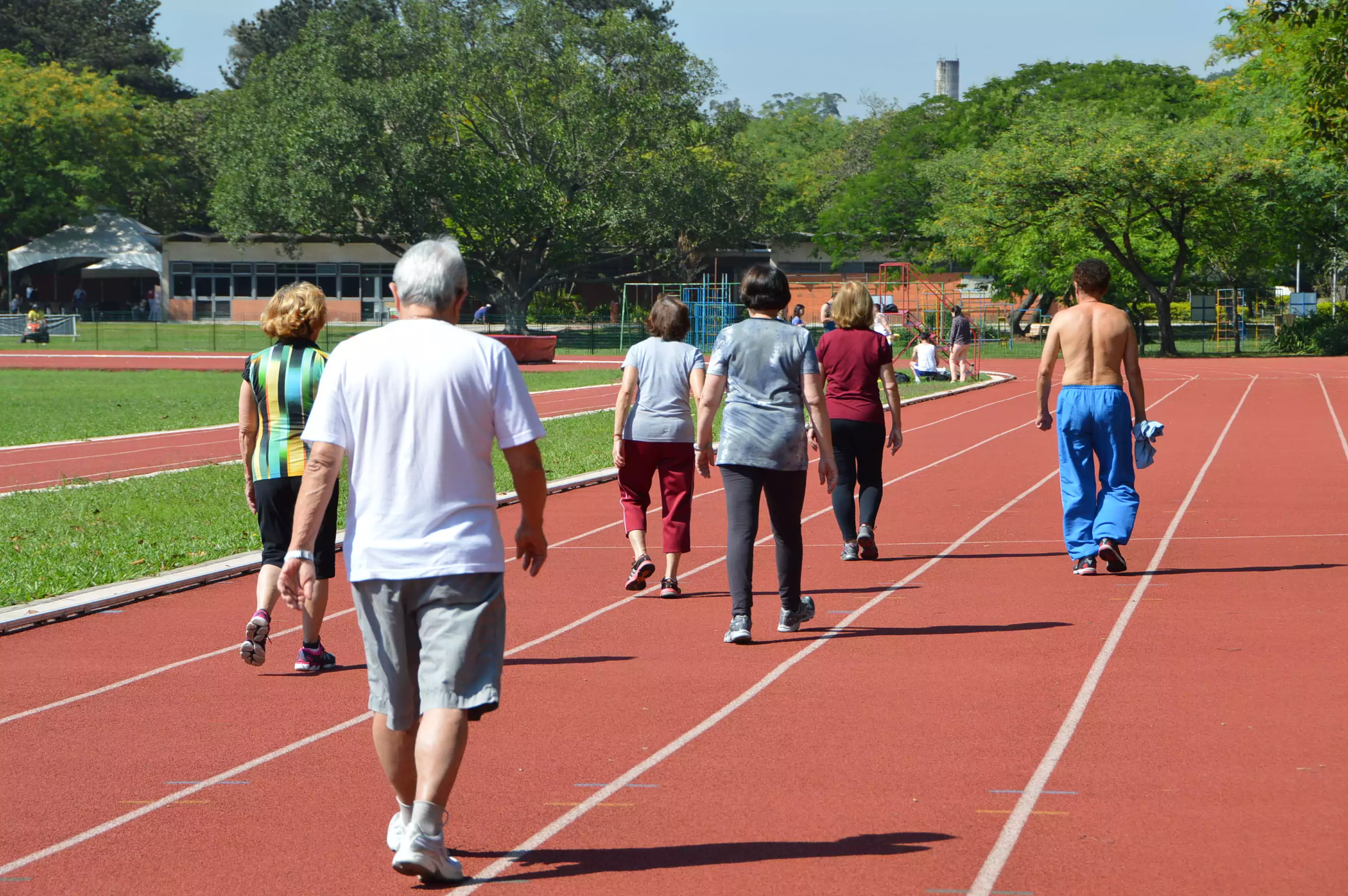 Circuito 60+   –  USP e externo